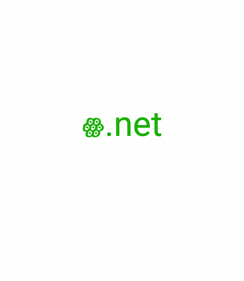 ꙮ.net